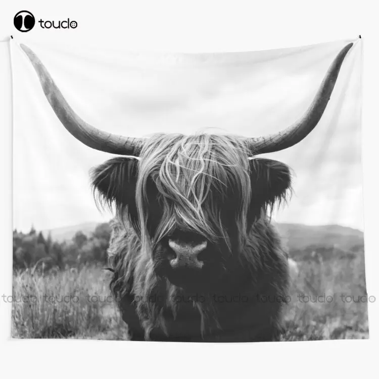 Scottish Highland Cattle - Bla - Photography Online ulasan dan harga